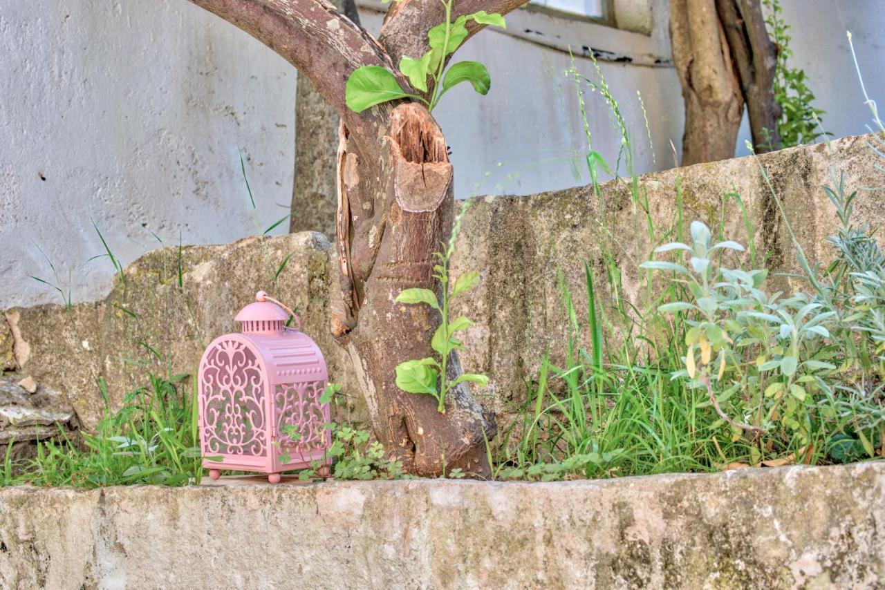 Eco Aparthotel The Dreamers'S Club Lumbarda Bagian luar foto
